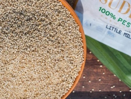 Sudhanya Organic Littet Millet (Samulu ) Online now