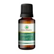 Korus Essential Eucalyptus Essential Oil - Therapeutic Grade Supply