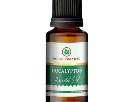 Korus Essential Eucalyptus Essential Oil - Therapeutic Grade Supply