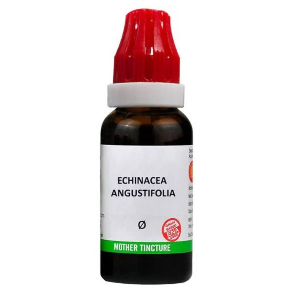 Bjain Homeopathy Echinacea Angustifolia Mother Tincture Q Online