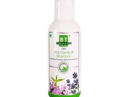 Boericke & Tafel Anti- Dandruff Shampoo Cheap