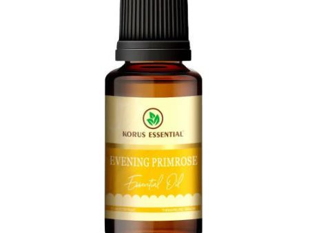 Korus Essential Evening Primrose Essential Oil - Therapeutic Grade Online