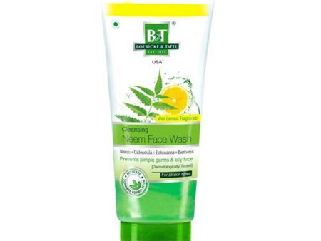 Boericke & Tafel Cleansing Neem Face Wash Supply