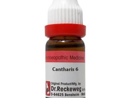 Dr. Reckeweg Cantharis Dilution on Sale