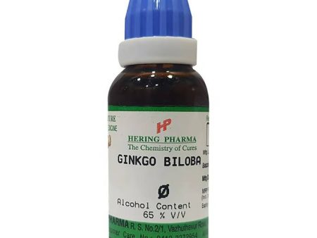 Hering Pharma Ginkgo Biloba Mother Tincture Q Cheap