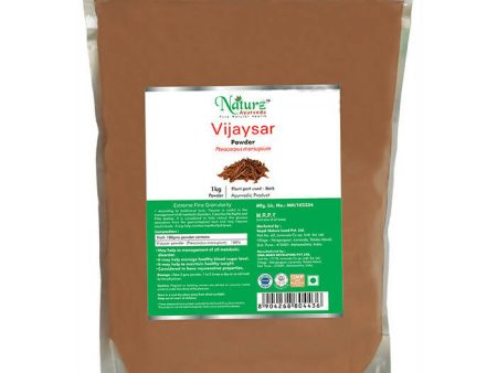 Naturz Ayurveda Vijaysar Powder Hot on Sale