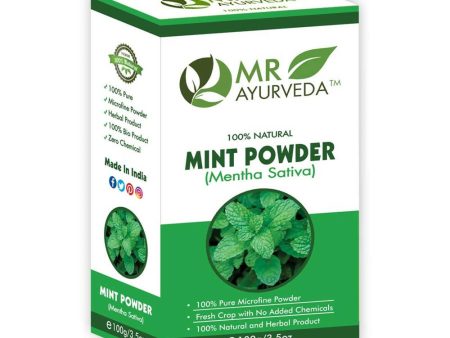 MR Ayurveda Mint Powder Hot on Sale