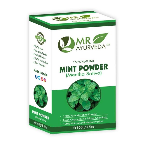 MR Ayurveda Mint Powder Hot on Sale