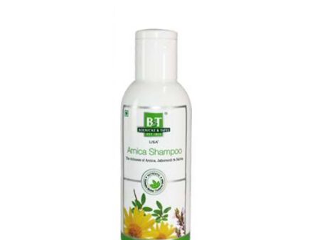 Boericke & Tafel Arnica Shampoo Hot on Sale