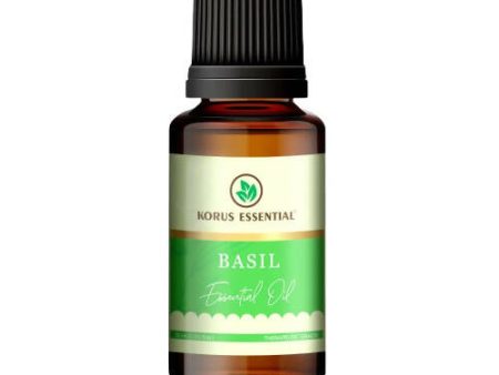 Korus Essential Basil Essential Oil - Therapeutic Grade on Sale