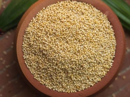 Sudhanya Organic Browntop Millet (Andu Korralu) | Natural Grains with Native Low GI Millet Rice | Chotti Kangni Andu Korralu Korale | Contains High Protein & More Fibre than Rice For Sale