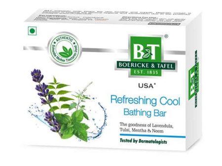 Boericke & Tafel Refreshing Cool Bathing Bar Online Sale