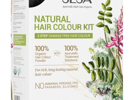 Sesa Ayurvedic Natural Hair Colour Kit Natural Black Supply