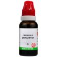 Bjain Homeopathy Crataegus Oxyacantha Mother Tincture Q Sale