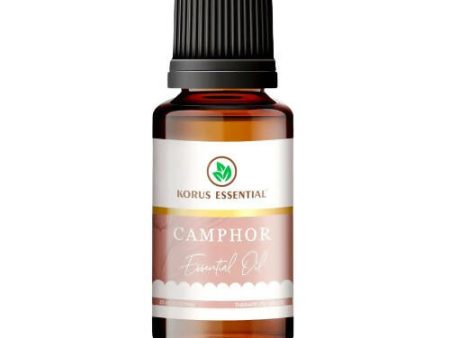 Korus Essential Camphor Essential Oil - Therapeutic Grade Discount