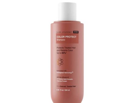 Bare Anatomy Expert Color Protect Shampoo For Dry & Frizzy Hair, Retains Color Upto 8 Weeks For Discount