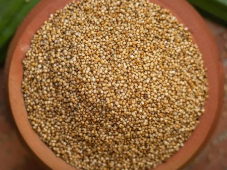 Sudhanya Organic Kodo Millet (Arikalu) Online now