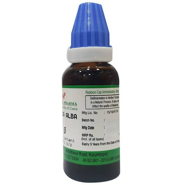 Hering Pharma Bryonia Alba Mother Tincture Q Supply