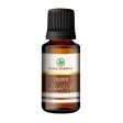 Korus Essential Clove Bud Essential Oil - Therapeutic Grade on Sale