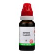 Bjain Homeopathy Berberis Vulgaris Mother Tincture Q Online now