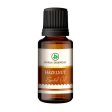 Korus Essential Hazelnut Essential Oil - Therapeutic Grade For Sale