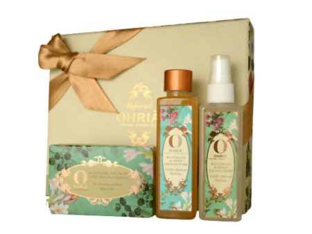 Ohria Ayurveda Cleansing & Misting Discount