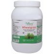 Naturz Ayurveda Wheatgrass Tablets Hot on Sale