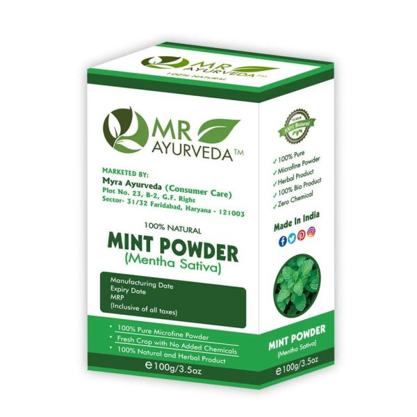 MR Ayurveda Mint Powder Hot on Sale