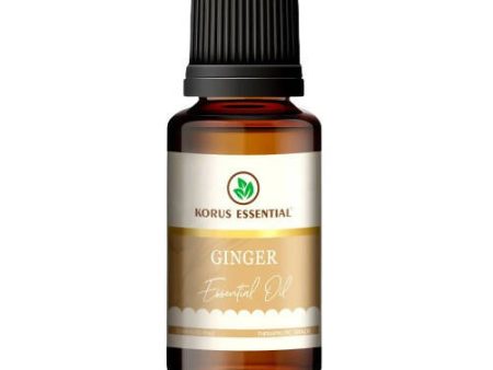 Korus Essential Ginger Essential Oil - Therapeutic Grade Fashion